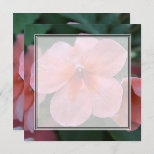 Hübsche Rosa-Garten-Blume Blanche Hochzeit, Party, Einladung (Vorne/Hinten)