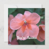 Hübsche Rosa-Garten-Blume Blanche Hochzeit, Party, Einladung (Rückseite)