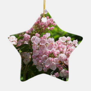 Hübsche rosa Gebirgslorbeer-Blumen Keramikornament