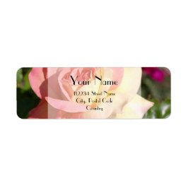 Hübsche rosa-gelbe Blume, kundenspezifisch