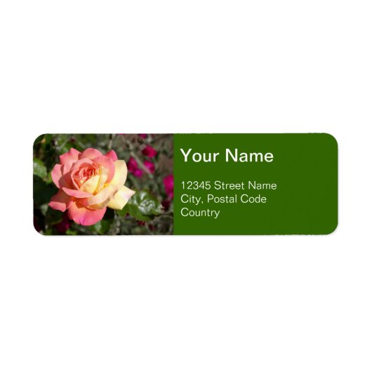 Hübsche rosa-gelbe Blume, kundenspezifisch (Vorne)