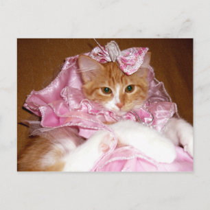 Hübsche rosa Kätzchen-Postkarte Postkarte