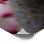 Hübsche Rosa Kirschblossom Blume Poster (Ecke)