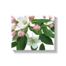 Hübsche Rosa Kirschblüte Blumenblüte schön modern