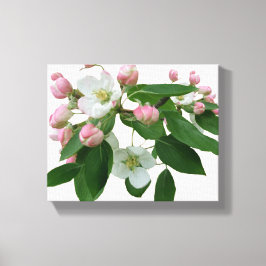 Hübsche Rosa Kirschblüte Blumenblüte schön modern Leinwanddruck