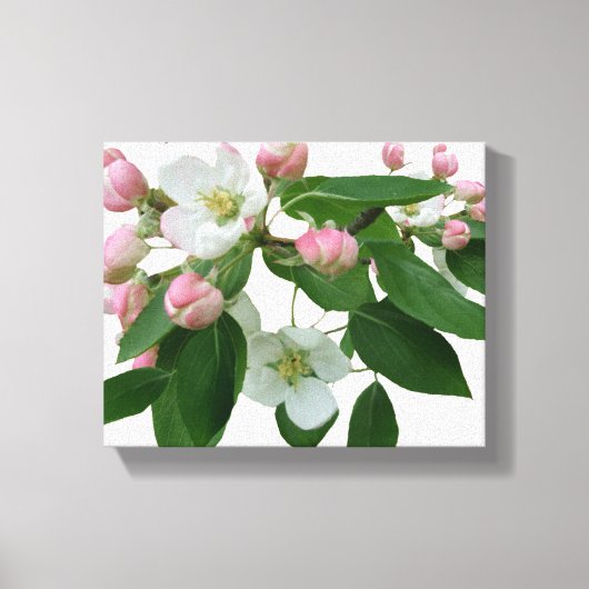 Hübsche Rosa Kirschblüte Blumenblüte schön modern Leinwanddruck (Vorderseite)