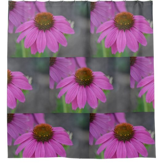 Hübsche Rosa-Kone-Blume Duschvorhang (Vorderseite)