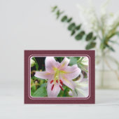 Hübsche Rosa Liege Blume Postkarte (Stehend Vorderseite)
