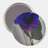 Hübsche Rosa-Lila Morgenruhm-Blume Magnet (Vorderseite/Rückseite)