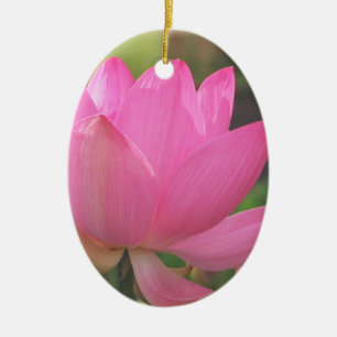 Hübsche rosa Lotusblüten-Weihnachten, Feiertag Keramik Ornament