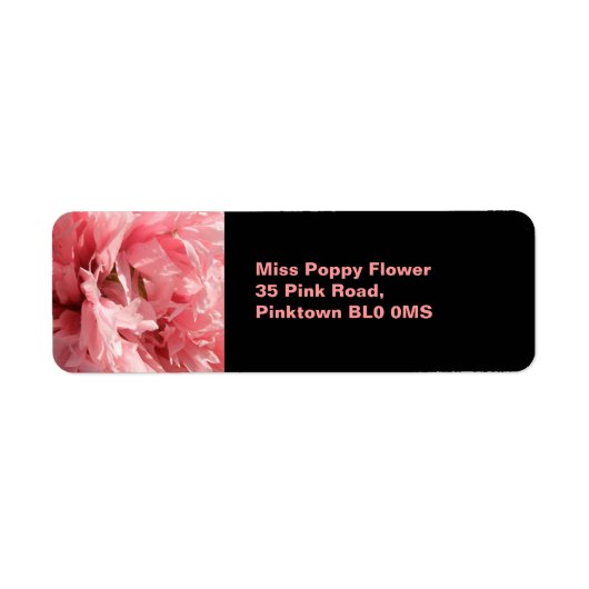Hübsche rosa Mohnmarken (Vorne)