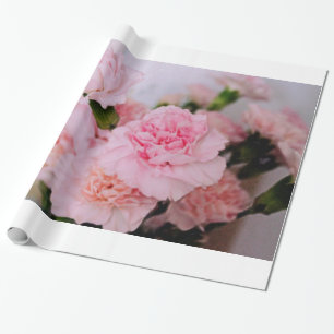 Hübsche rosa Nelken Blumen Fotografie Geschenk Geschenkpapier