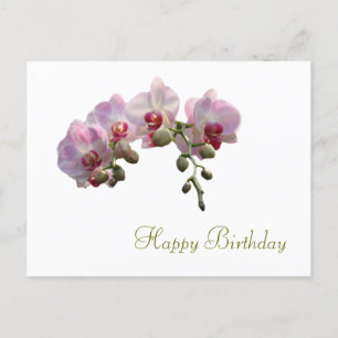 hübsche rosa Orchideenblüten alles Gute zum Geburt Postkarte