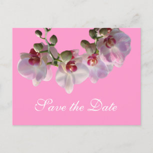 hübsche rosa Orchideenblüten rosa Save-the-Date Ankündigungspostkarte