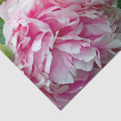 Hübsche rosa Peonies Seidenpapier (Ausschnitt)