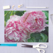 Hübsche rosa Peonies Seidenpapier (Handwerk)