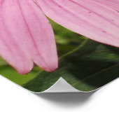 Hübsche rosa Petalen Poster (Ecke)