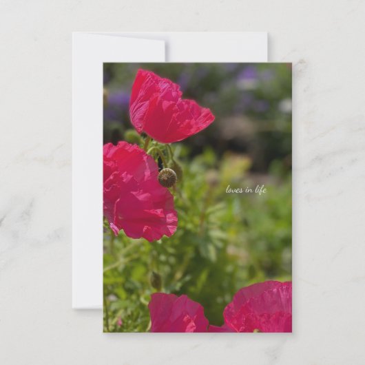 Hübsche rosa Pflücke im Garten Mitteilungskarte (Vorderseite)