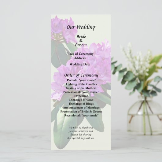 Hübsche rosa Rhododendren Programm (Stehend Vorderseite)