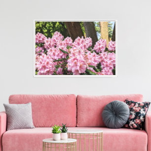 Hübsche rosa Rhododendron-Blüten Leinwanddruck
