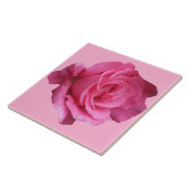 Hübsche Rosa Rosa Blütenkunst Fliese (Seite)