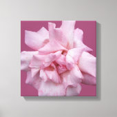 Hübsche rosa Rosa schöne, moderne Kunst Leinwanddruck (Vorderseite)