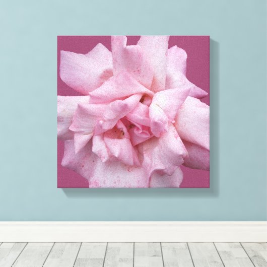 Hübsche rosa Rosa schöne, moderne Kunst Leinwanddruck (Insitu (Holzboden))