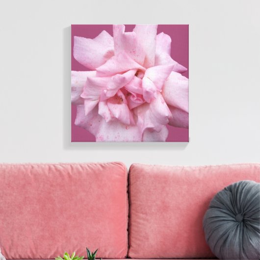 Hübsche rosa Rosa schöne, moderne Kunst Leinwanddruck (Insitu (Wohnzimmer))