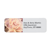 Hübsche rosa Rose auf hellgrau (Vorne)
