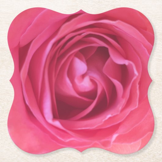 Hübsche rosa Rose Untersetzer (Vorderseite)
