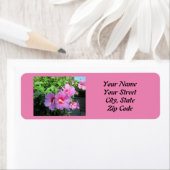 Hübsche Rosa Rose von Sharon Foto (Insitu)