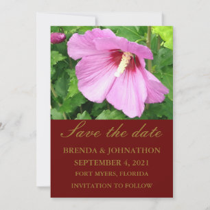 Hübsche Rosa Rose von Sharon Foto Save The Date