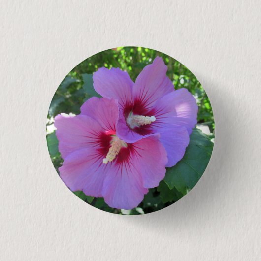 Hübsche Rosa-Rose von Sharon Fotografy Button (Vorderseite)