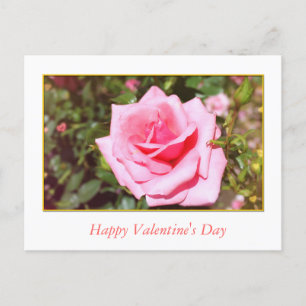 hübsche rosa Rosenblume und süße Herzen Valentinst Feiertagspostkarte