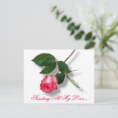 Hübsche rosa Single-Rose Feiertagspostkarte (Stehend Vorderseite)