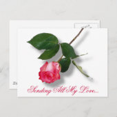 Hübsche rosa Single-Rose Feiertagspostkarte (Vorne/Hinten)