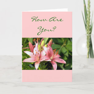 Hübsche rosa Taglilien "Wie geht es dir?" (Foto) Karte