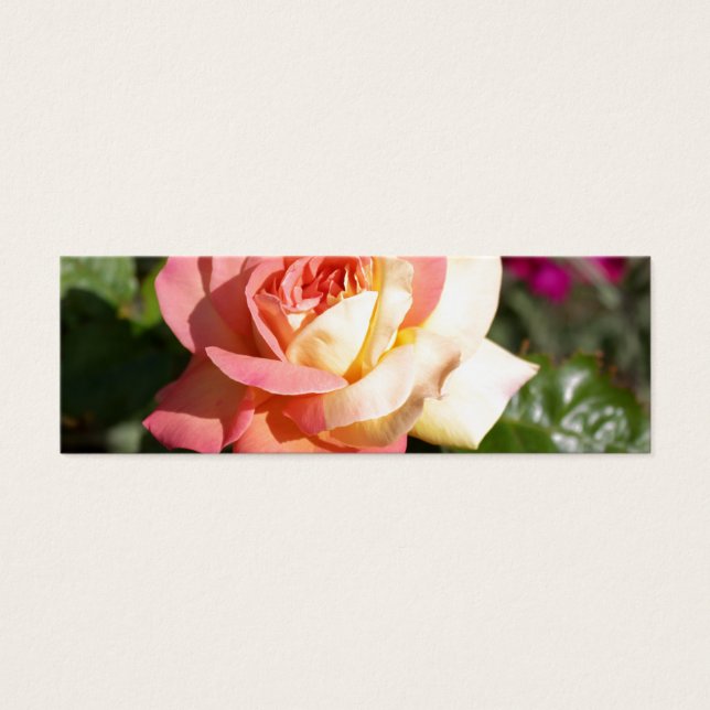 Hübsche rosa und gelbe Blume. floral (Vorderseite)