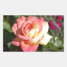 Hübsche rosa und gelbe Blume. floral