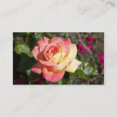 Hübsche rosa und gelbe Blume Visitenkarte (Rückseite)