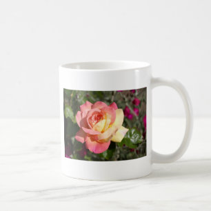 Hübsche rosa und gelbe Rosenblume. Floral Kaffeetasse
