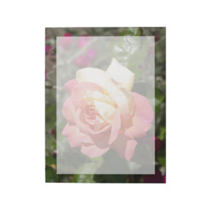 Hübsche rosa und gelbe Rosenblume. Floral Notizblock
