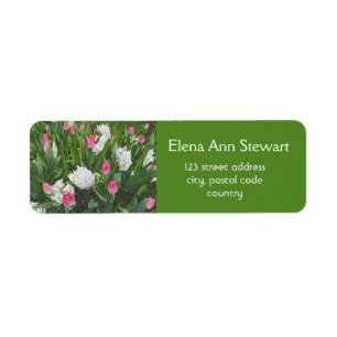 Hübsche rosa und weiße Frühlingsgartenblumen