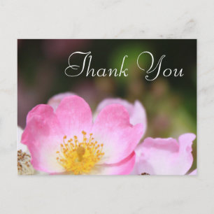 hübsche rosa wilde Rosenblume Hochzeit Dankeschön Postkarte