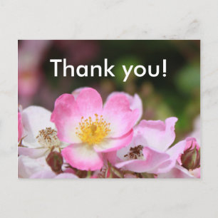 hübsche rosa wilde Rosenblumen für Damen Postkarte