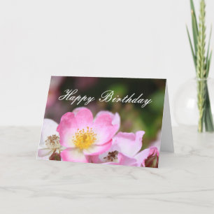 hübsche rosa wilde Rosenblumen herzlichen Glückwun Karte
