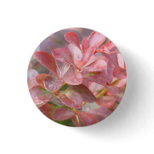 Hübsche rosa Zweige