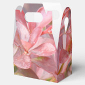 Hübsche rosa Zweige Geschenkschachtel (Geöffnet)