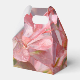 Hübsche rosa Zweige Geschenkschachtel