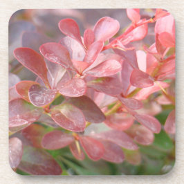 Hübsche rosa Zweige Getränkeuntersetzer